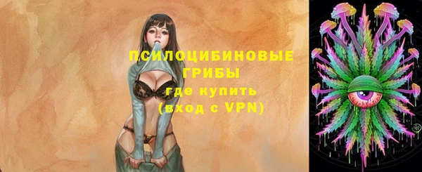 ГАЛЛЮЦИНОГЕННЫЕ ГРИБЫ Беломорск